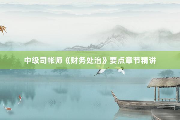 中级司帐师《财务处治》要点章节精讲