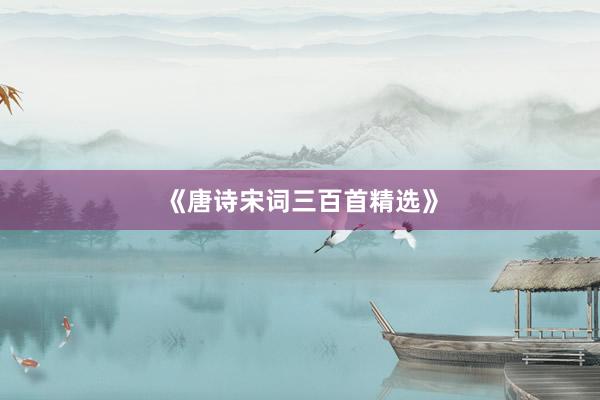 《唐诗宋词三百首精选》